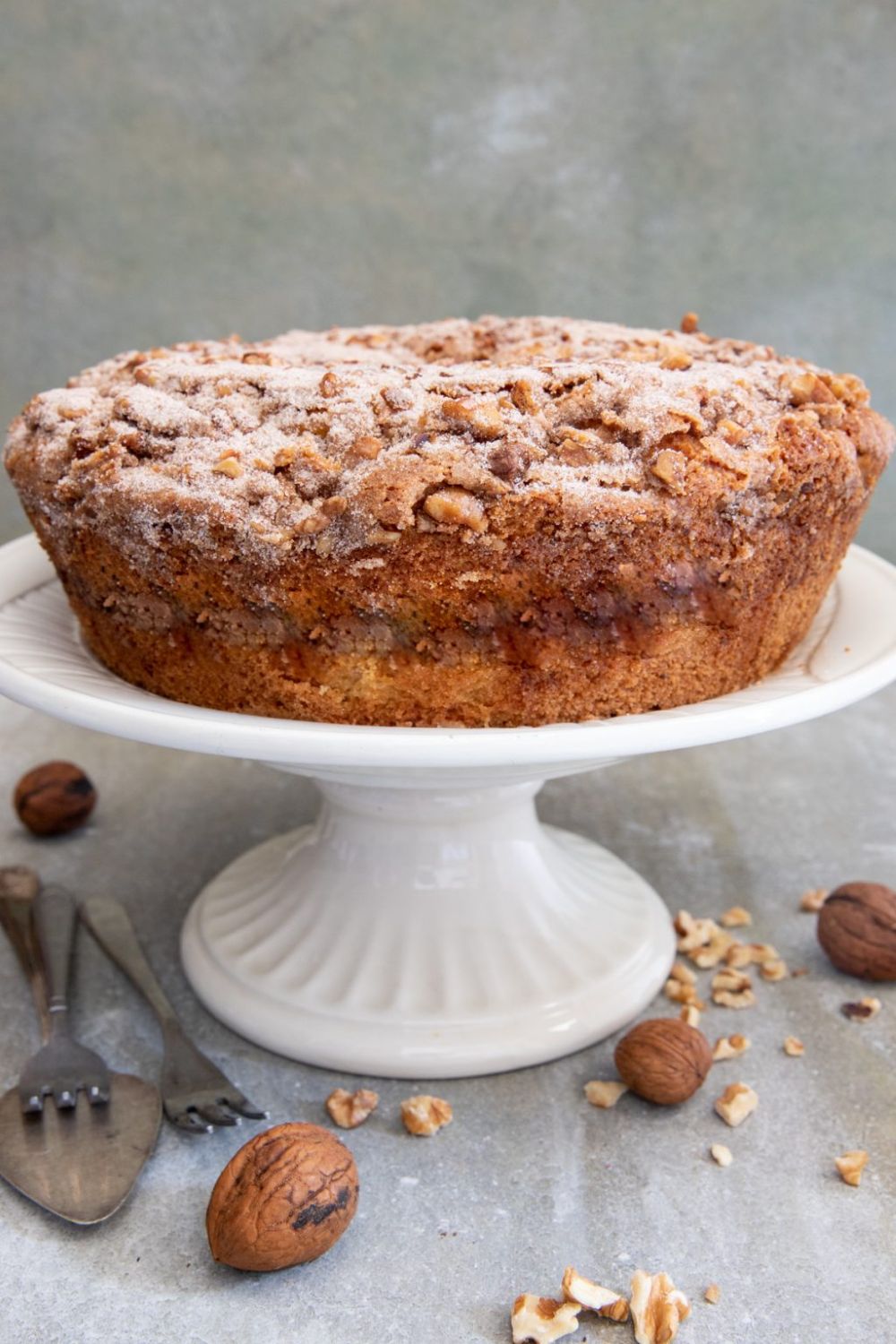 Warm Layers of Flavor: The Ultimate Cinnamon Walnut Coffee Cake Recipe for Your Perfect Brew Moment (with Bazan Coffee Pairings)