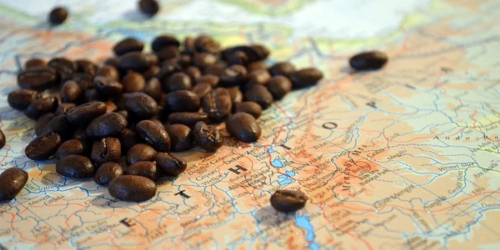 The Complete Guide to Ethiopian Coffee: Origins, Taste, and How to Brew it Right