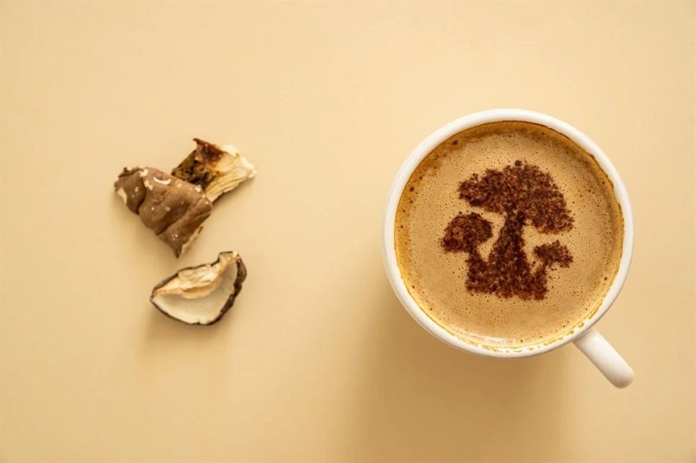 How to Brew Low Acid Mushroom Coffee: A Barista-Backed Guide for Smooth, Functional Sips