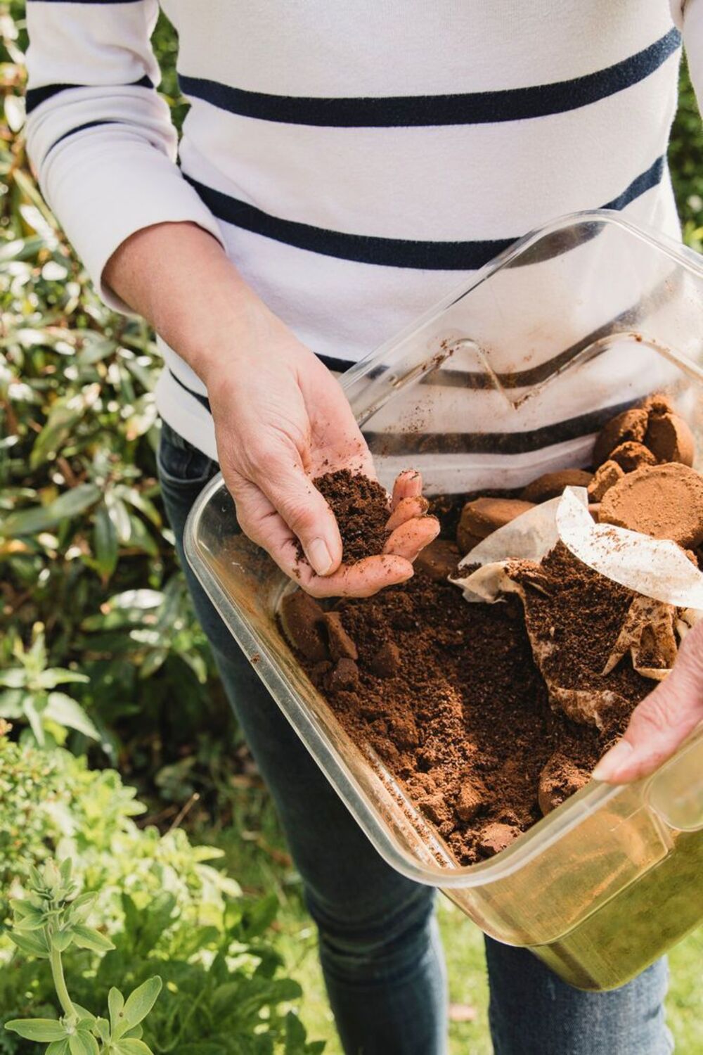 Does Coffee Grounds Help Plants? What Gardeners and Researchers Are Saying About Your Brew’s Second Life
