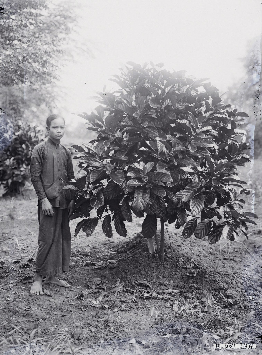 The History of Vietnamese Coffee: From Colonial Times to Present