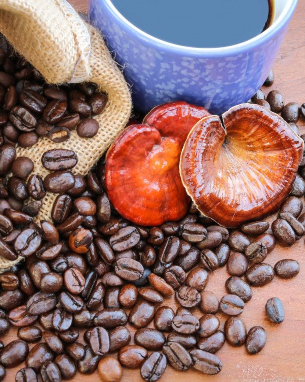 The Future of Functional Coffee: Cold Brew Mushroom Coffee Recipe with Bazan Coffee