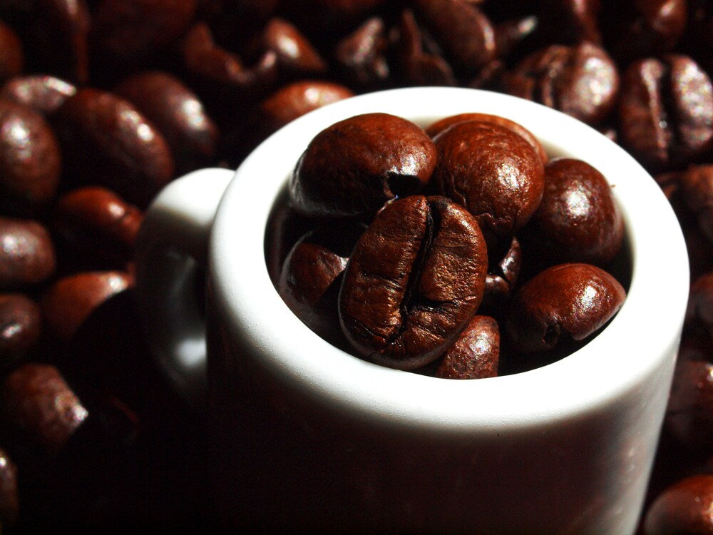 Beyond the Grind: The Complete Guide to Whole Bean Coffee with Bazan Coffee