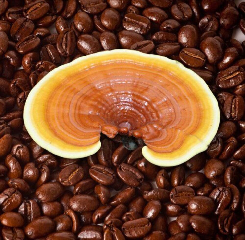 Unlocking the Buzz: What Is Mushroom Coffee and Should You Be Drinking It? (A Complete Guide with Insights from Bazan Coffee)