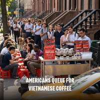 Too Strong, Premium Vietnamese Robusta, Dark Roast