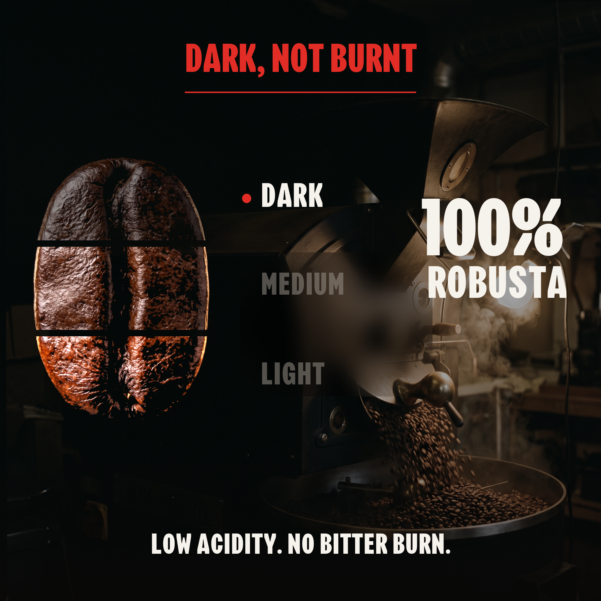 Too Strong, Premium Vietnamese Robusta, Dark Roast