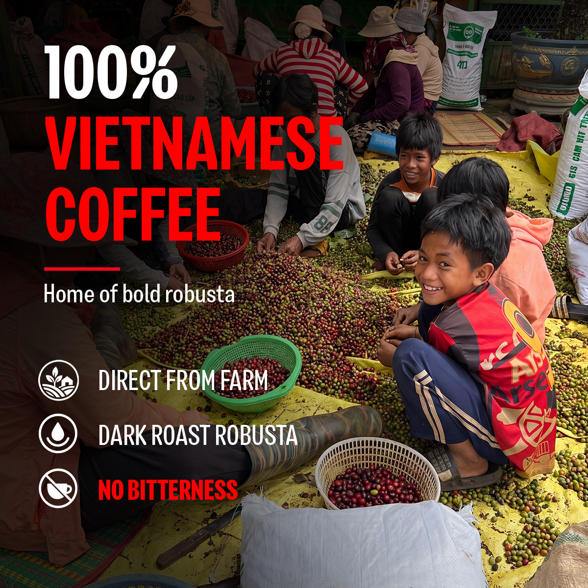 STRONG COLD BREW, Premium Vietnamese Robusta, Pitcher Pack