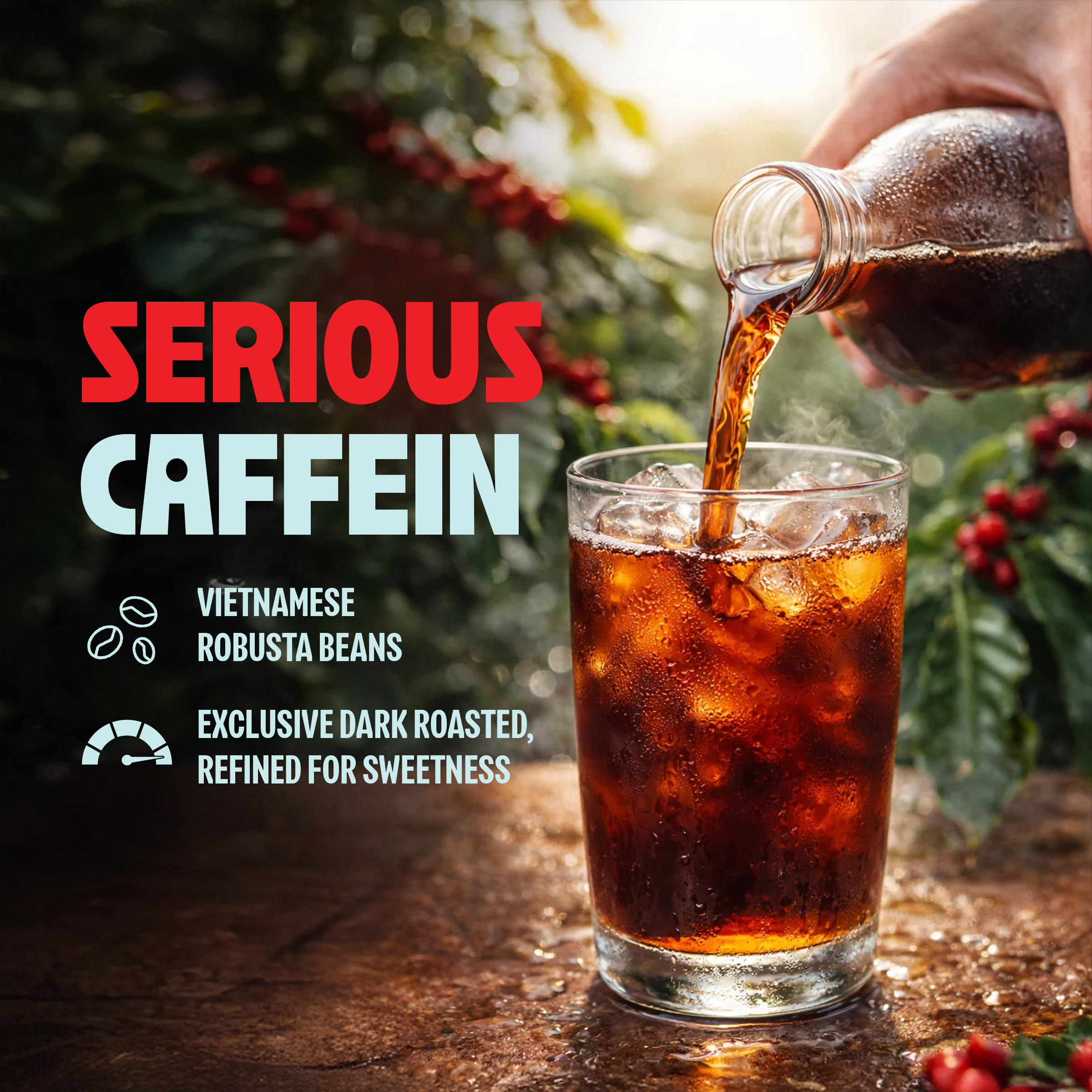 Vietnamese Cold Brew Pitcher Packs (12 Packs) – Makes 30 Cups