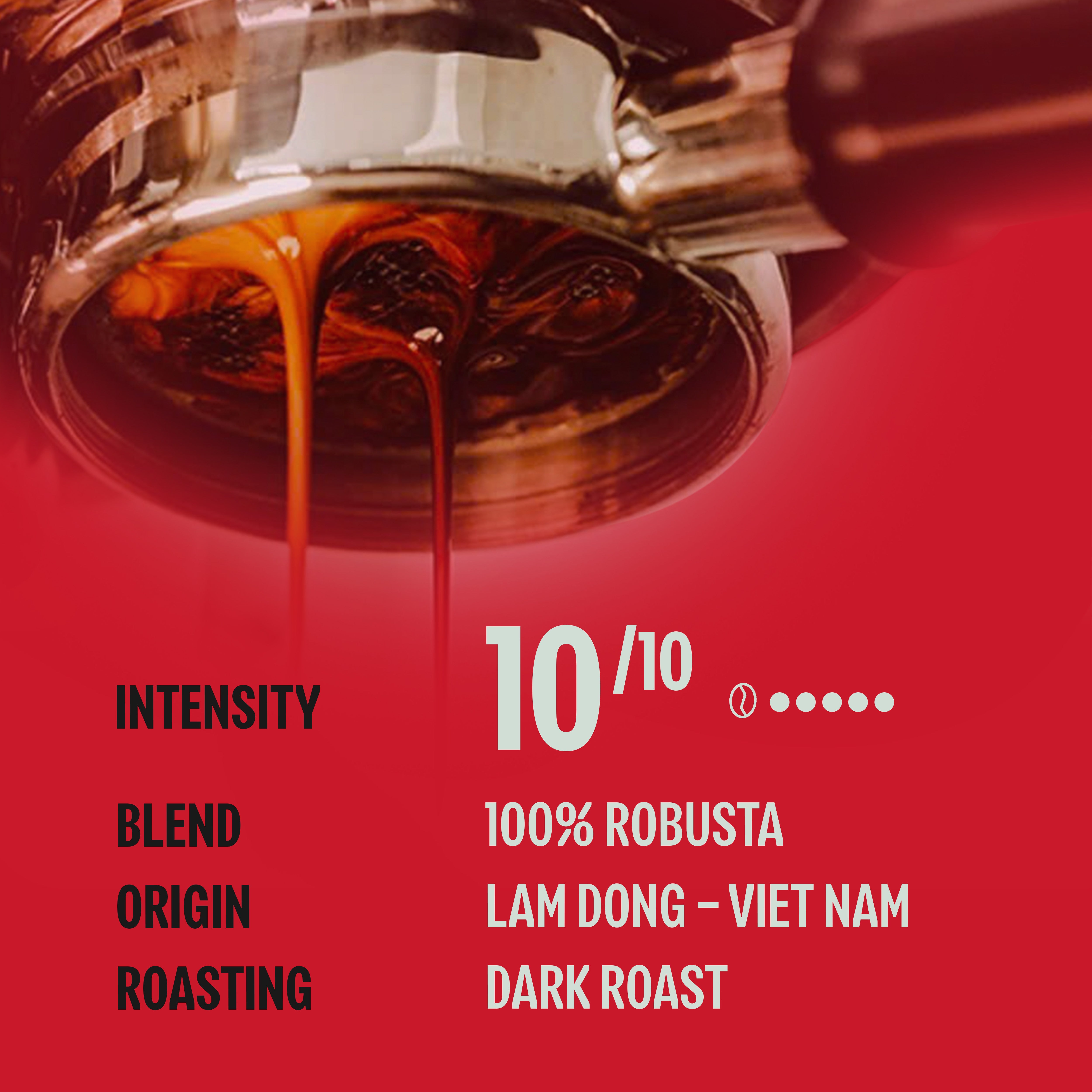 Too Strong, Premium Vietnamese Robusta, Dark Roast