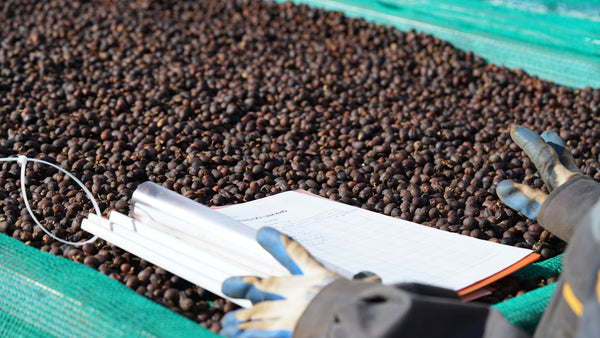 Carbonic maceration