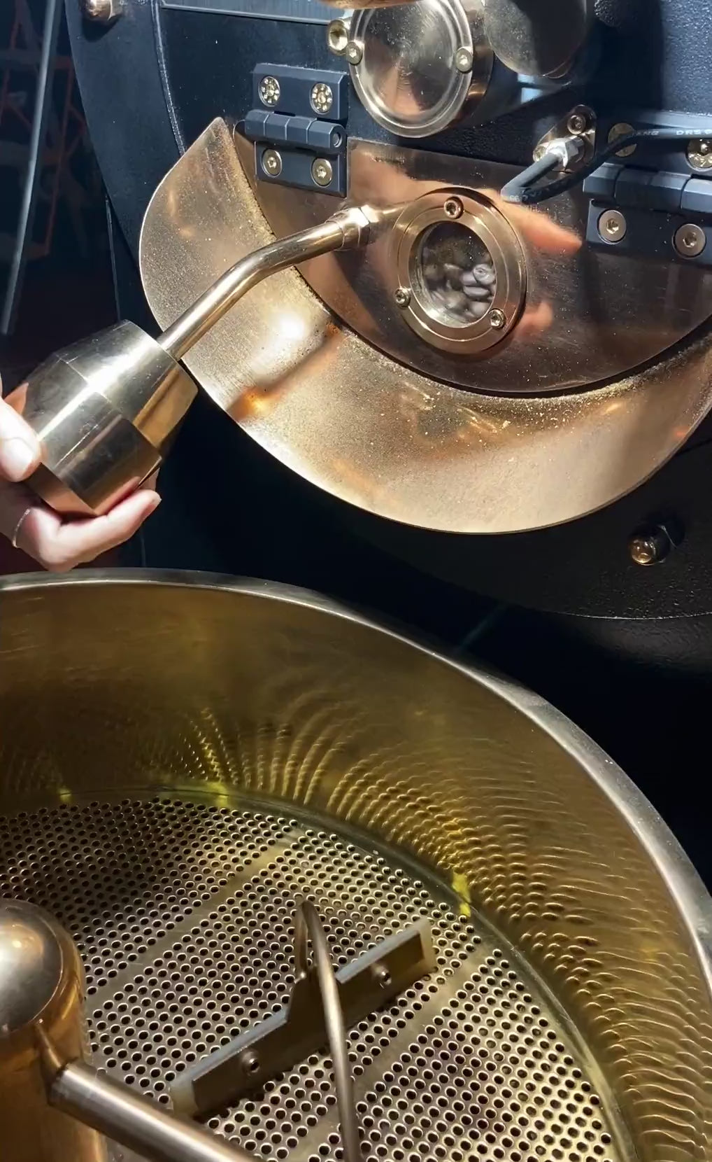 Experience Fine Robusta from Vietnam – Whole Beans with Exotic Durian, Honey & Caramel Flavors