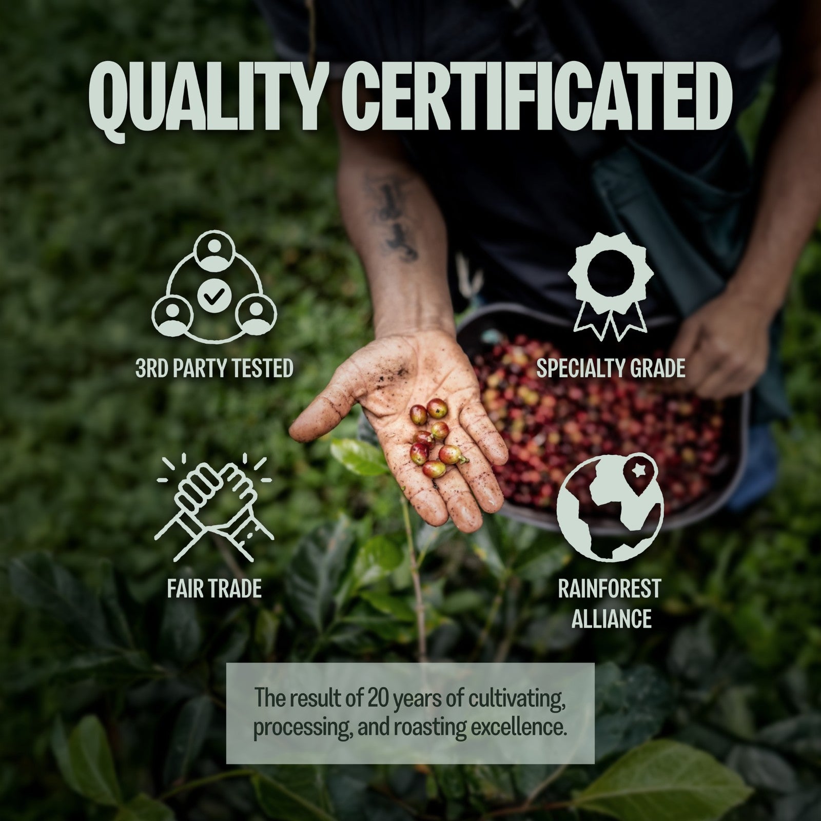 Special Vietnamese Blend, Strong & Smooth, Fruity & Floral Aroma, Ground